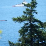 DSCN0760canoes